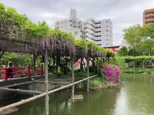 亀戸天神社の庭園