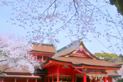 富士山本宮浅間大社(静岡県)