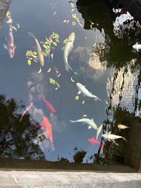 井戸寺(徳島県)