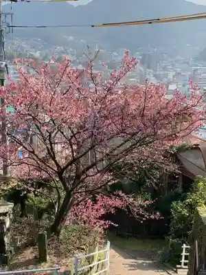 西山神社の自然