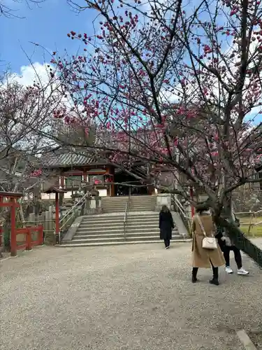 氷室神社(奈良県)