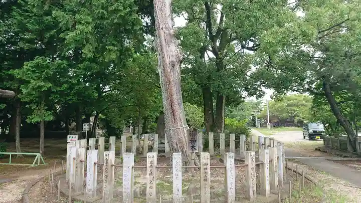 日吉神社の自然