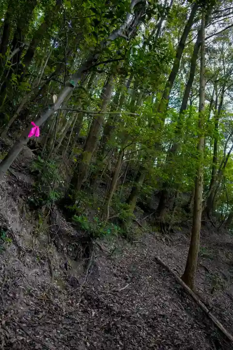 二井寺山極楽寺の周辺