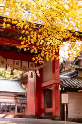 柞原八幡宮(大分県)