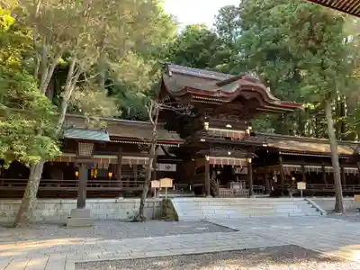 諏訪大社下社秋宮の本殿・本堂