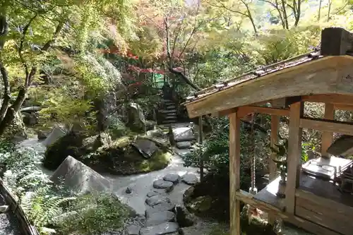 宝泉院の庭園