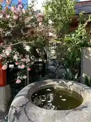 尼崎えびす神社の手水