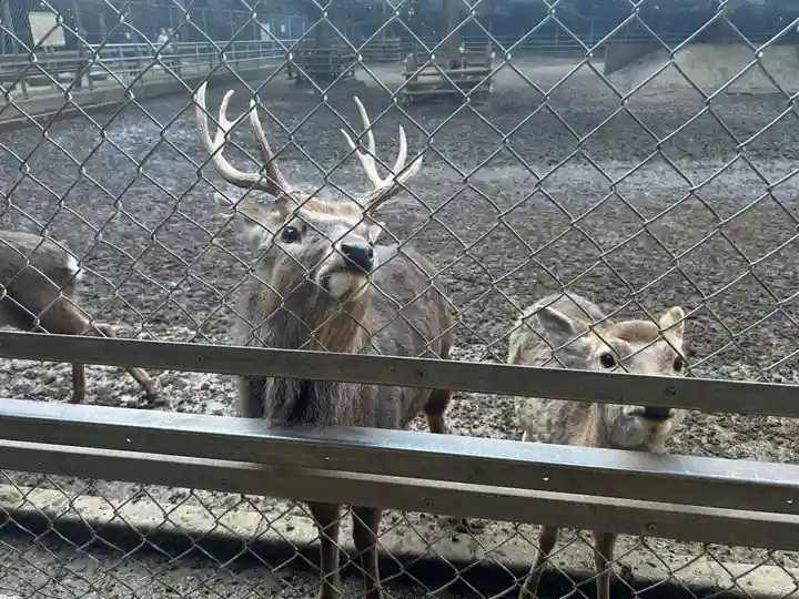 奥宮(鹿島神宮摂社)(茨城県)
