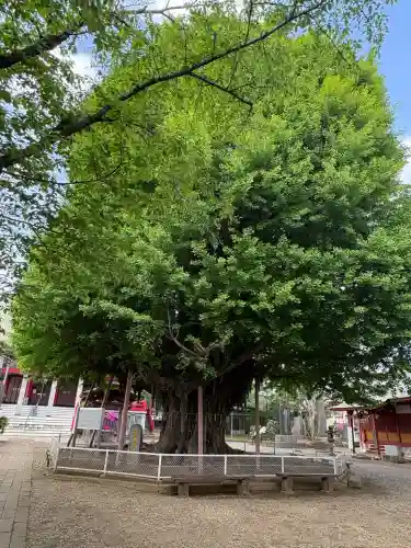 千葉寺(千葉県)