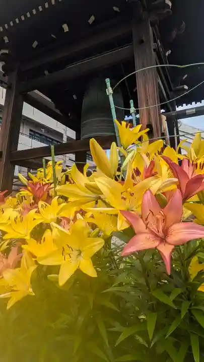 正福寺(大阪府)