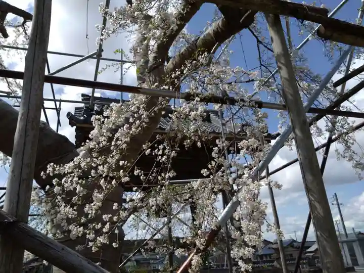 宿縁寺(愛知県)