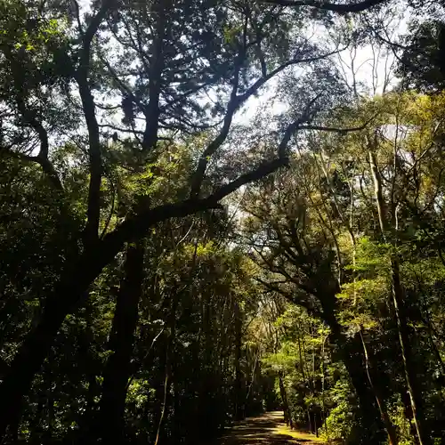 鹿島神宮の自然