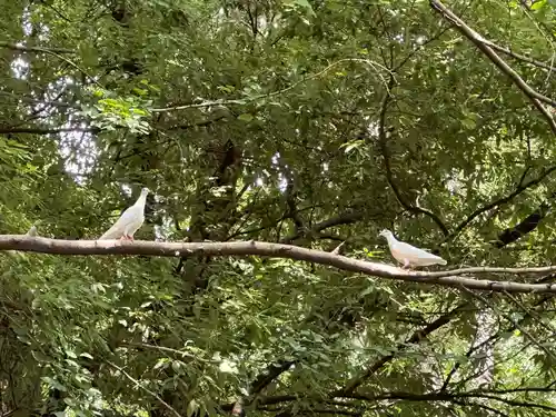 靖國神社(東京都)