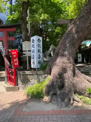 洲嵜神社の自然