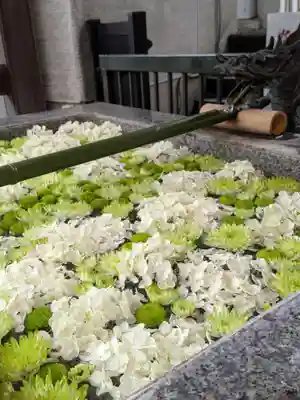 高円寺氷川神社(東京都)