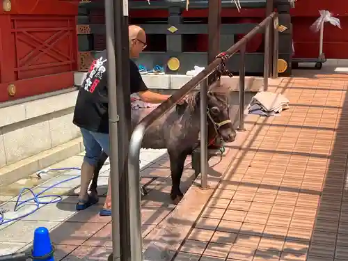 神田神社（神田明神）(東京都)