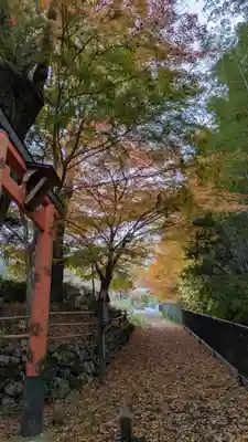 服部神社(京都府)