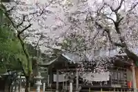 王宮伊豆神社の本殿・本堂
