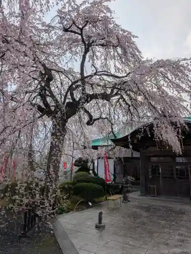 身照寺の{uncategorized: "未分類", other: "その他", undefined: "問題あり", building: "その他建物", grave: "お墓", sacred_gate: "鳥居", guardian: "狛犬", statue: "像", buddha: "仏像", history: "歴史", nature: "自然", garden: "庭園", animal: "動物", pagoda: "塔", temizu: "手水舎", mountain_gate: "山門・神門", sanctuary: "本殿・本堂", subordinate: "末社・摂社", art: "芸術", scenery: "景色", jizo: "地蔵", ema: "絵馬", goshuin: "御朱印", omikuji: "おみくじ", items: "授与品その他", amulet: "お守り", goshuincho: "御朱印帳", eats: "食事", festival: "お祭り", votive_dance: "神楽", shichigosan: "七五三参", wedding: "結婚式", experience: "体験その他", initially: "初詣", around: "周辺", anti_infection: "感染症対策"}