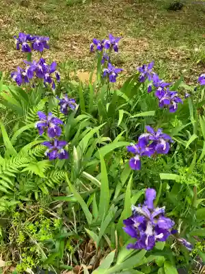 作楽神社(岡山県)