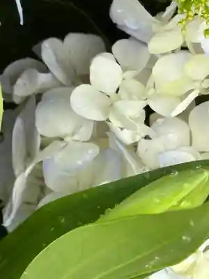 上尾御嶽神社(埼玉県)