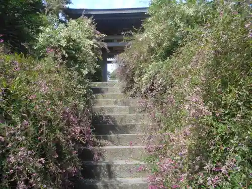 海蔵寺の山門