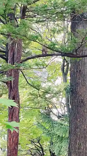 北海道護國神社の動物