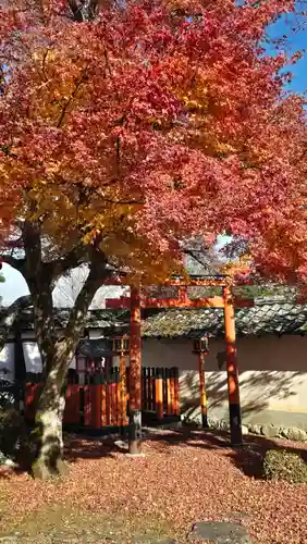 滋賀院門跡(滋賀県)