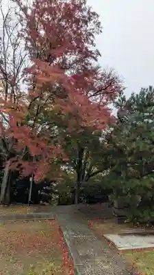観音寺（山崎聖天）(京都府)