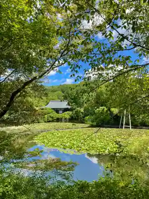 龍安寺の{uncategorized: "未分類", other: "その他", undefined: "問題あり", building: "その他建物", grave: "お墓", sacred_gate: "鳥居", guardian: "狛犬", statue: "像", buddha: "仏像", history: "歴史", nature: "自然", garden: "庭園", animal: "動物", pagoda: "塔", temizu: "手水舎", mountain_gate: "山門・神門", sanctuary: "本殿・本堂", subordinate: "末社・摂社", art: "芸術", scenery: "景色", jizo: "地蔵", ema: "絵馬", goshuin: "御朱印", omikuji: "おみくじ", items: "授与品その他", amulet: "お守り", goshuincho: "御朱印帳", eats: "食事", festival: "お祭り", votive_dance: "神楽", shichigosan: "七五三参", wedding: "結婚式", experience: "体験その他", initially: "初詣", around: "周辺", anti_infection: "感染症対策"}