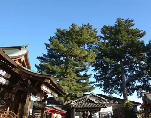 中野沼袋氷川神社(東京都)