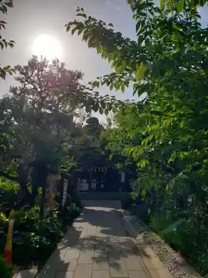 鳩森八幡神社の本殿・本堂