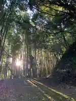 面足神社(千葉県)
