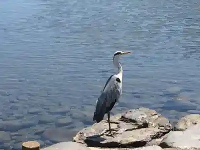 出水神社(熊本県)