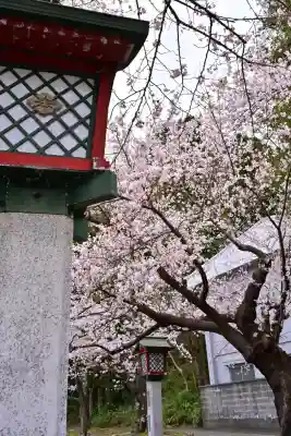 彌彦神社(新潟県)
