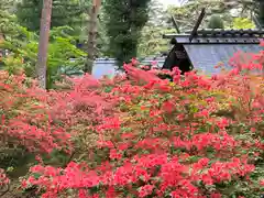 皇大神社(真田御屋敷跡)の自然