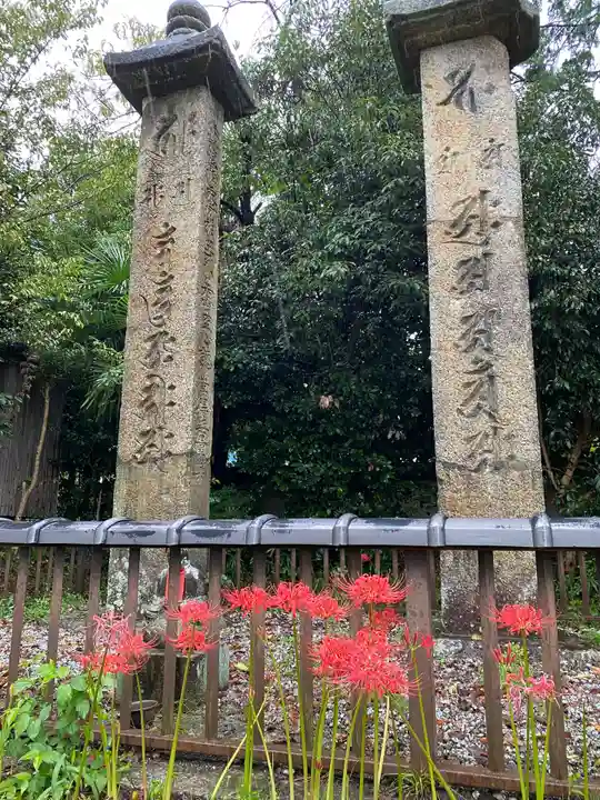 般若寺 ❁コスモス寺❁(奈良県)