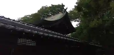 菊田神社の本殿・本堂