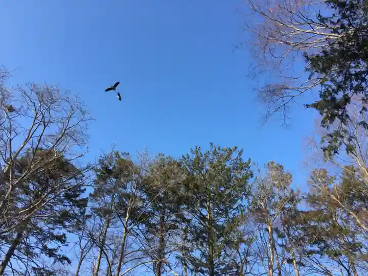 長沼神社(北海道)