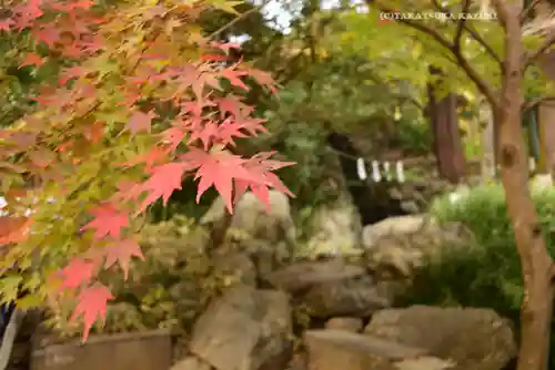 高尾山薬王院(東京都)