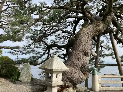 満月寺（浮御堂）の自然