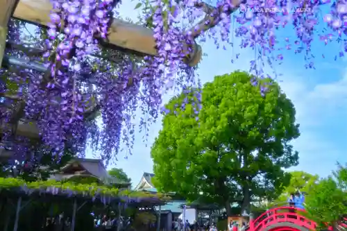 亀戸天神社(東京都)