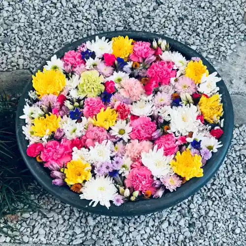 埼玉厄除け開運大師・龍泉寺（切り絵御朱印発祥の寺）(埼玉県)