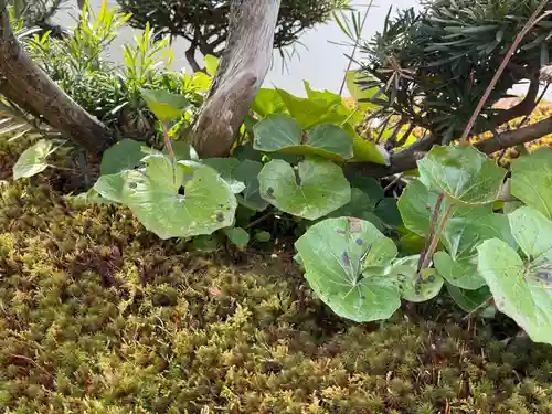 西方山極楽寺(岐阜県)