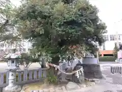 神明神社(福井県)