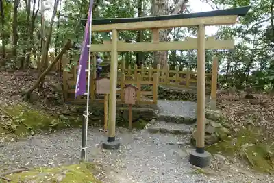 出雲大神宮の鳥居