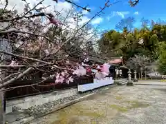 平野神社(京都府)