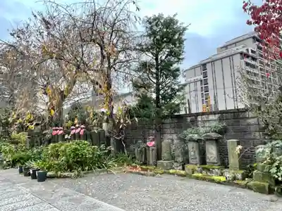 薬師寺 南蔵院 の仏像