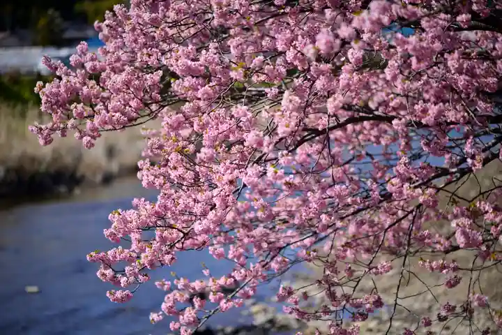 川津来宮神社(静岡県)