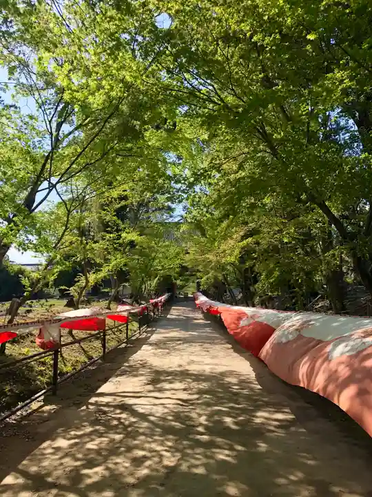 醍醐寺(京都府)